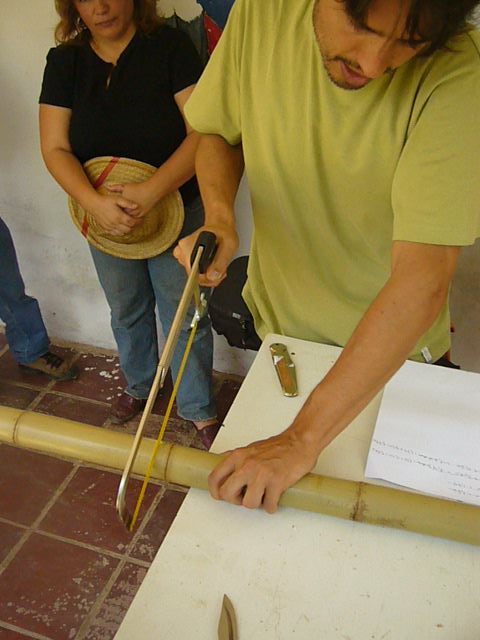 couper pres des noeuds bambu