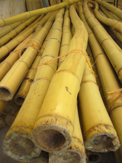 bambu material