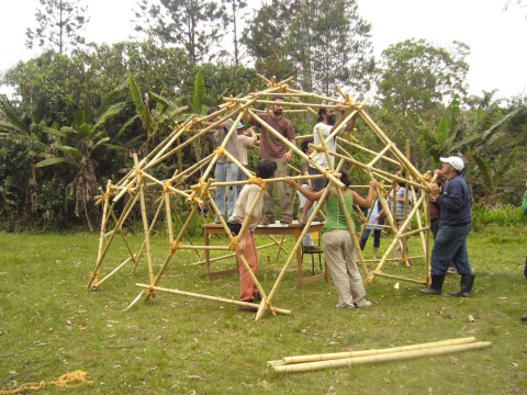 estufa bambu